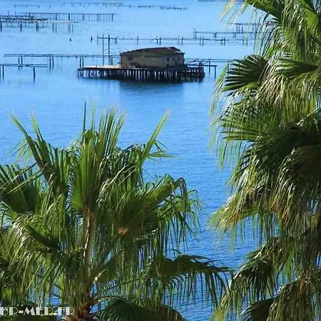 Les Pieds Dans L'eau La Seyne-sur-Mer